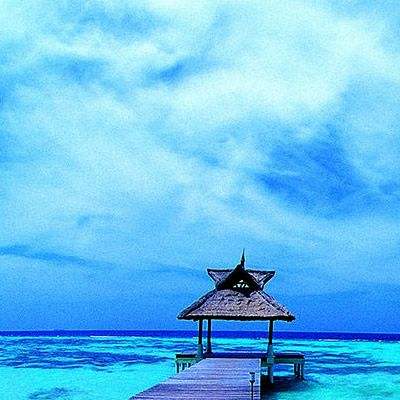 开云·体育平台